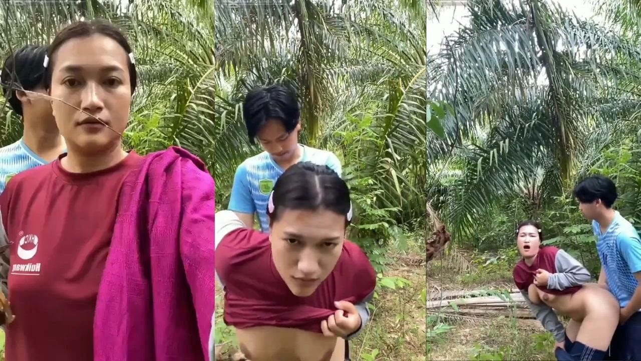 Bokep Indo Ibu Tiri Vs Anak Tiri Ekshib Ngewe Di Kebun Sawit